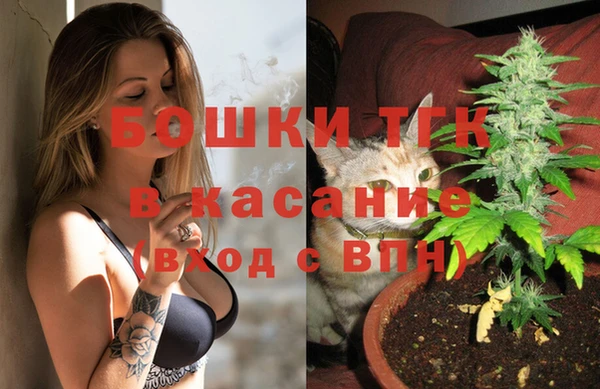 соль ск Арсеньев