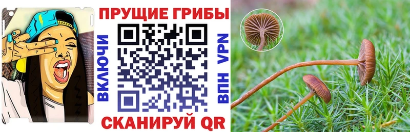 ссылка на мегу рабочий сайт  Сольвычегодск  Псилоцибиновые грибы Magic Shrooms 