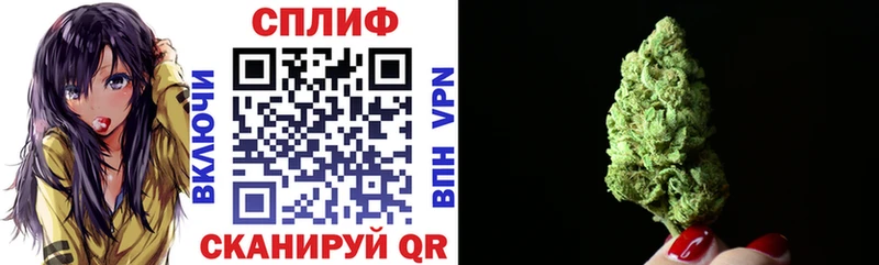 Канабис сатива  ссылка на мегу маркетплейс  Сольвычегодск  наркотики 